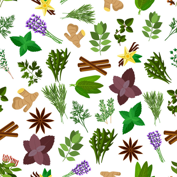 Fresh herb, spice, condiment seamless pattern - Vector, afbeelding