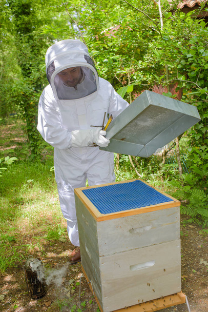 beekeeper opening hive and man - Foto, Imagen