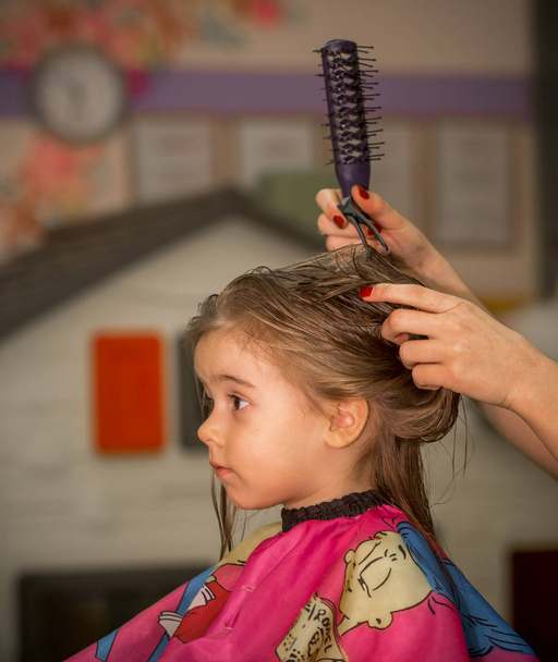Красивая маленькая девочка с длинными волосами
 - Фото, изображение
