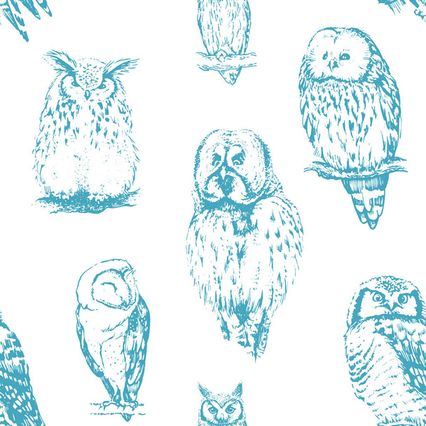 different owls collection. - Vektor, Bild