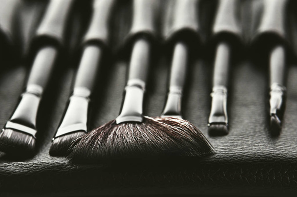 set of brushes for makeup in a black cover placed in a row, fron - Photo, Image