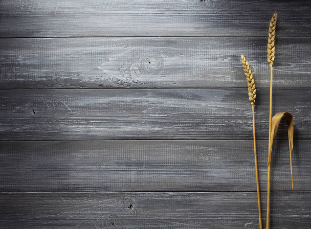 ears of wheat on wood - Photo, image