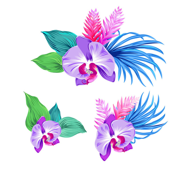set of vector orchids. isolated. - Vector, Image