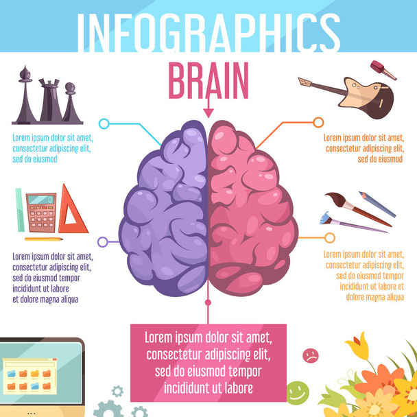 Функции мозговых полушарий Инфографический плакат
 - Вектор,изображение