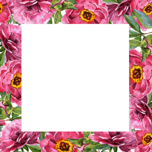 Wildflower peony flower frame in a watercolor style isolated. - Photo, Image