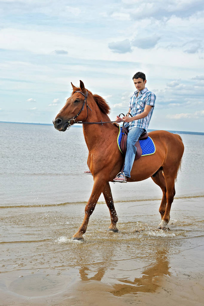 Mies ratsastaa hevosella
 - Valokuva, kuva