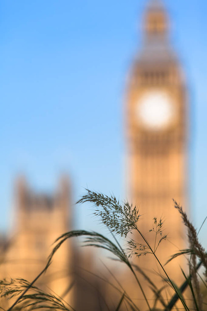 Escena de Londres de hierba tranquilo - Foto, Imagen