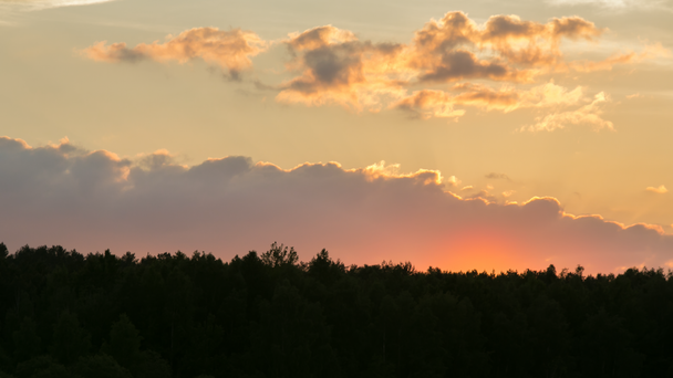 Coucher de soleil avec nuages sur la forêt
 - Séquence, vidéo