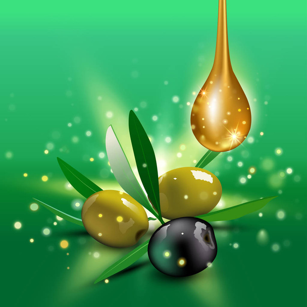 Green and black olives with leaves. Vector illustration - Διάνυσμα, εικόνα