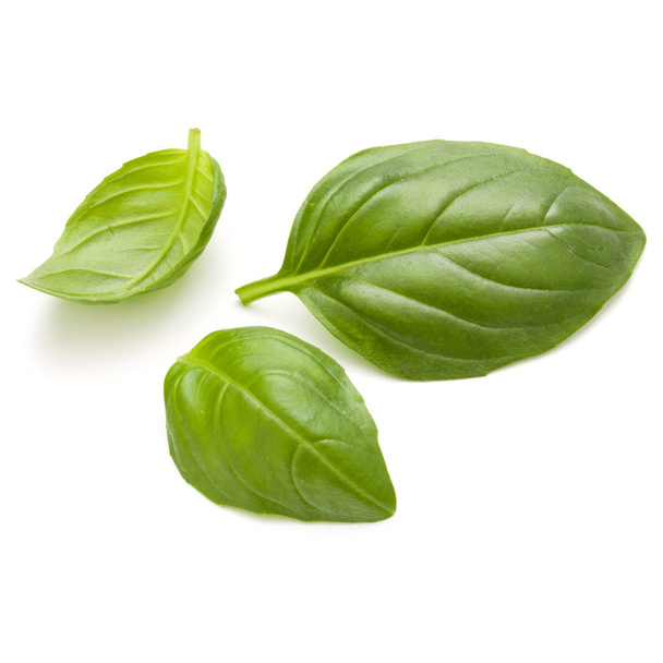 Sweet basil herb leaves  - Фото, изображение