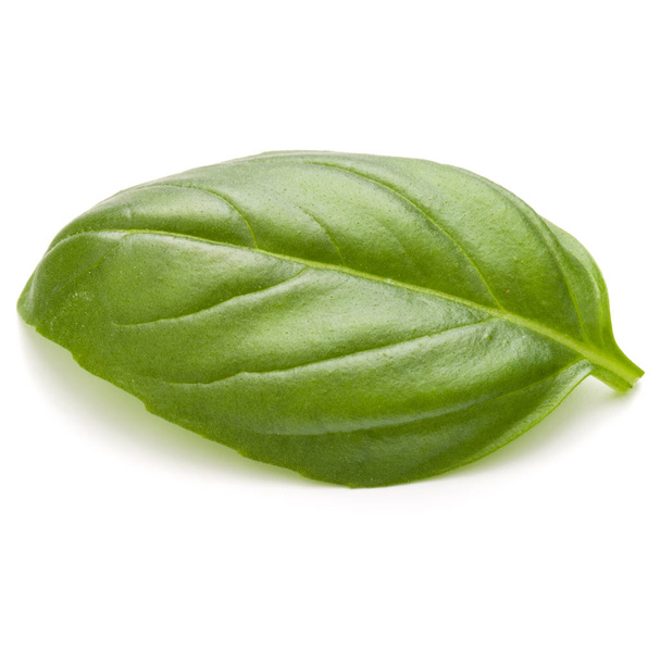 Sweet basil herb leaf - Foto, imagen