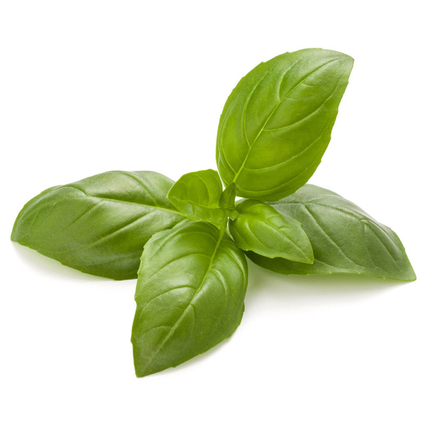 Sweet basil herb leaves  - Foto, afbeelding
