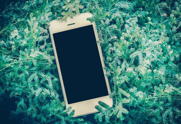 Cellulare smart phone su fearn verde. filtro vintage
 - Foto, immagini
