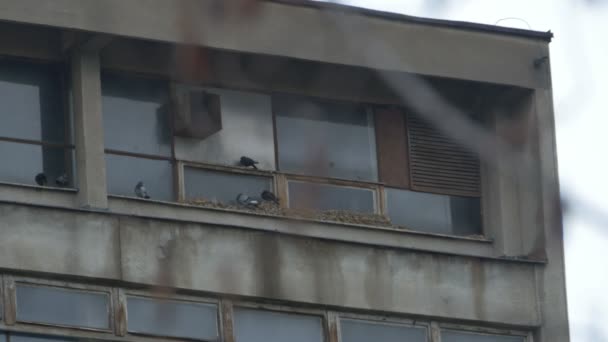 Sérült régi ablakok - Felvétel, videó