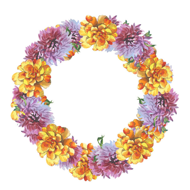 Дика квіткова рамка хризантеми в акварельному стилі ізольована
. - Фото, зображення