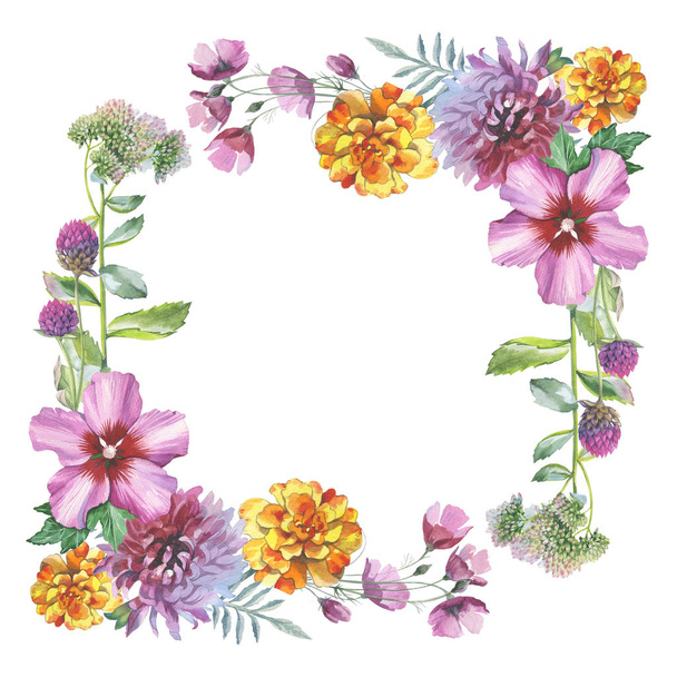 Wildflower chrysanthemum flower frame in a watercolor style isolated. - Zdjęcie, obraz