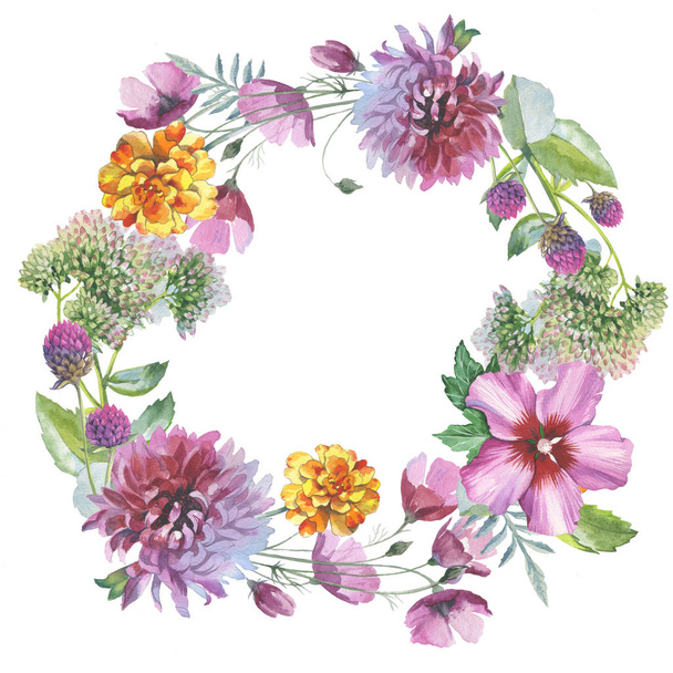 分離された水彩画のワイルドフラワー菊の花の花輪. - 写真・画像