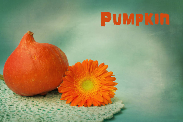 Autumn pumpkins with flower on wooden background - Foto, Imagen