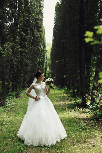 Brunette bride poses in the forest  - Фото, изображение