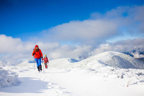 Альпинисты на снежном склоне
. - Фото, изображение