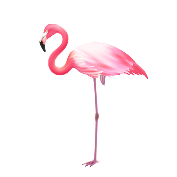 Icono realista de una pierna de flamenco rosa
 - Vector, imagen