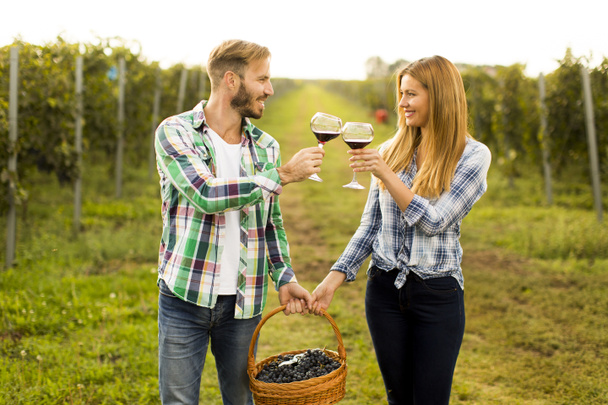 Wine tasting in the vineyard - Photo, Image