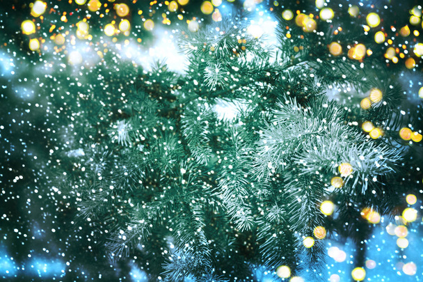 Weihnachtsbaum. Neues Jahr - Foto, Bild