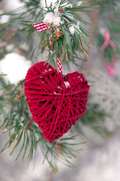 pozadí z vánočního stromu, vánoční hračky - jeden sám červené srdce visí na větvi smrku chráněné sníh - Fotografie, Obrázek