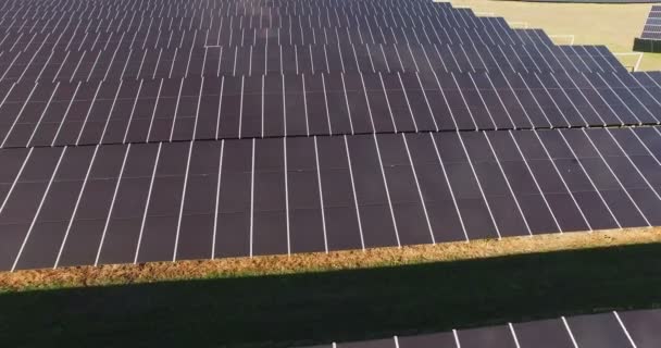 ein Feld voller Solarzellen-Batterien - Filmmaterial, Video