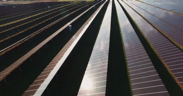 太陽農場で太陽光発電パネルの長い行 - 映像、動画