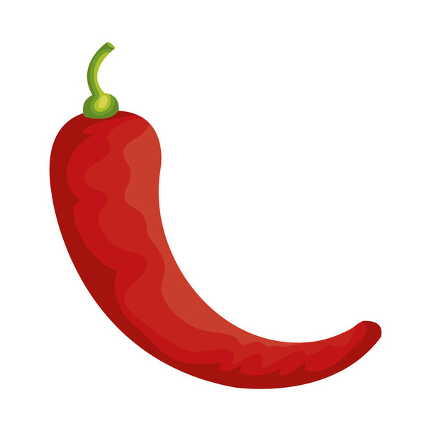 warzywo ikona na białym tle papryka chili - Wektor, obraz