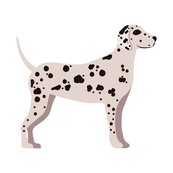 значок собаки тварин, концепція домашнього улюбленця
 - Вектор, зображення