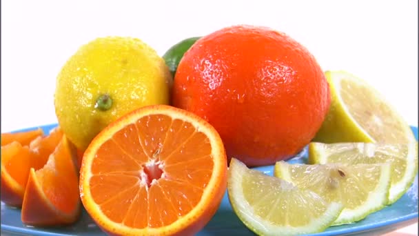 různé citrusové plody otočení na bílém pozadí - Záběry, video