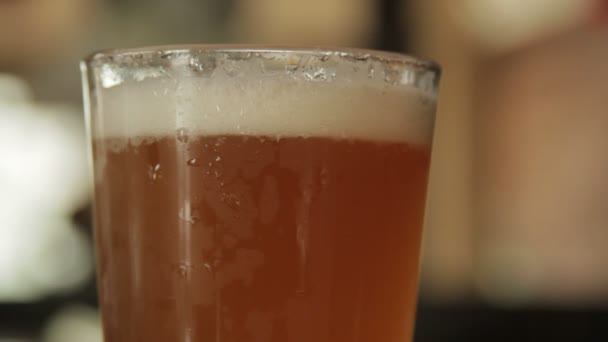 zwei Bier aufheben und ablegen - Filmmaterial, Video