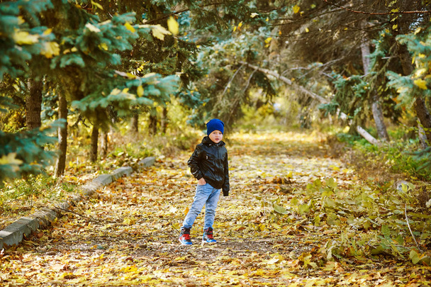 Beautiful funny boy playing in autumn Park - Fotografie, Obrázek