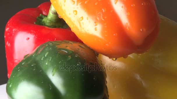 rotating red orange yellow and green bell peppers zoomed out - Materiał filmowy, wideo