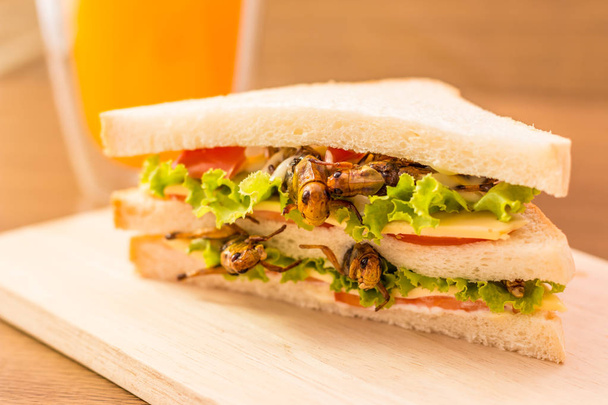 Sandwich aus gebratenem Insektenfleisch und Mozzarella, - Foto, Bild