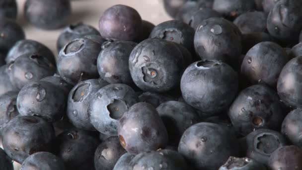rotating wet blueberries - Footage, Video