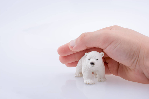 Holding a Polar Bear - Photo, Image