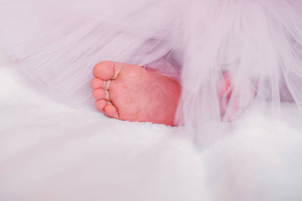 baby girl like a ballet dancer in pink tutu - Photo, Image