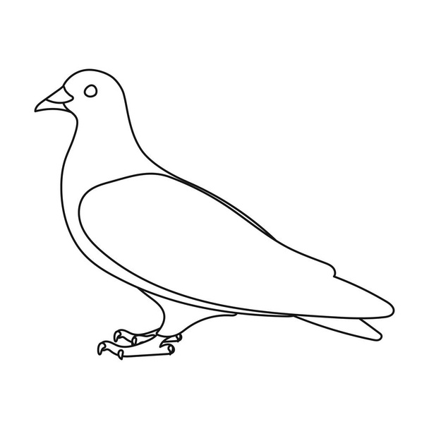 Pigeon icon in outline style isolated on white background. Bird symbol stock vector illustration. - Vektori, kuva