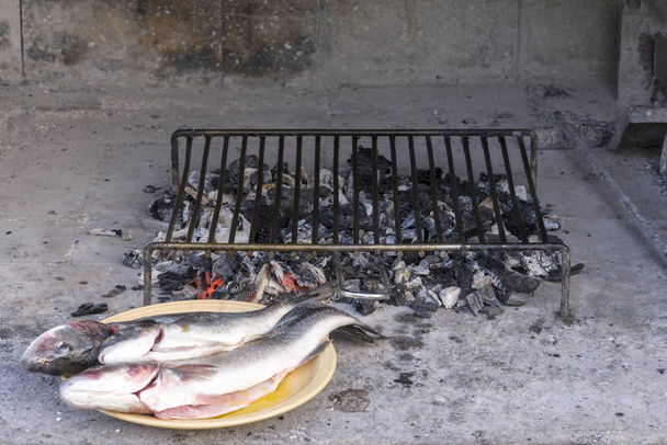 Mořský okoun na grilu tradiční dalmatské způsobem na ocelový gril ba - Fotografie, Obrázek