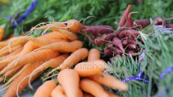 beauty shot of fresh carrots and herbs - Footage, Video