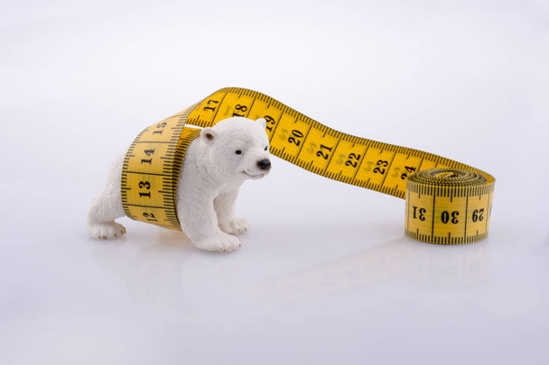 Полярний ведмідь оточений вимірювальною стрічкою
 - Фото, зображення
