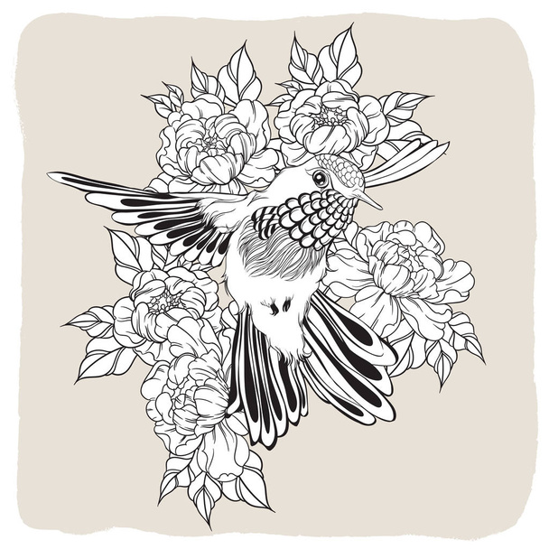 Hand drawn flying humming bird with peony flower. Vector illustration - ベクター画像