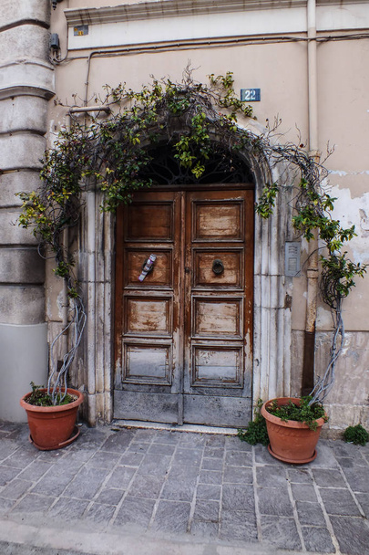old arched door - Foto, immagini