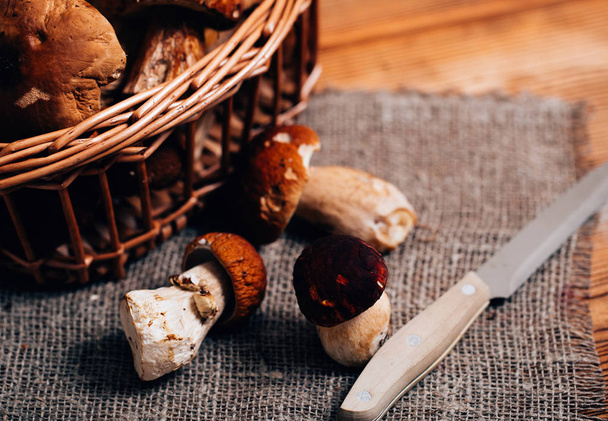Boletus mushrooms in a basket on a wooden board - Фото, зображення