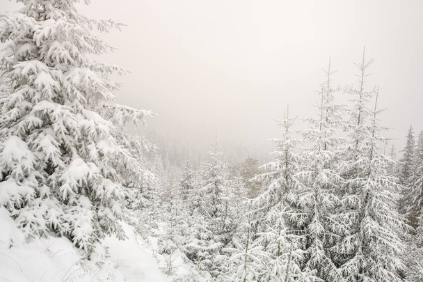 Beautiful winter landscape - Valokuva, kuva