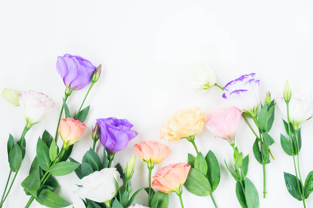 Růžové, bílé a fialové květy - Fotografie, Obrázek