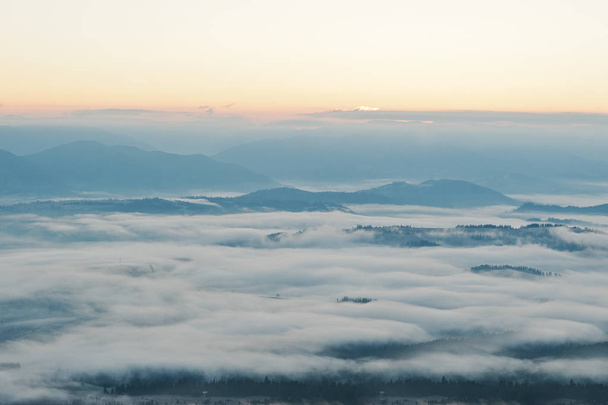 Amazing picturesque landscape of Carpathian mountains on fog and - Photo, image